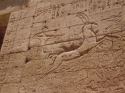 Go to big photo: Ramses III -Medinet Habou -Egypt