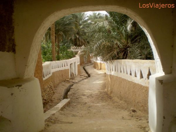 Ghadames, old town, outlet to some orchards near the pond - Libya
Ghadames, cuidad vieja, salida a una zona de huertos, cercana a la alberca - Libia