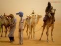 Ir a Foto: Tuaregs  amigos, conductores de camellos, o de vehículos todoterreno 
Go to Photo: Touaregs friends, driving camels, or 4wd cars