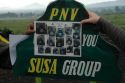 Gorillas: Susa group - Volcans National Park - Parc national des Volcans