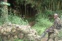 Gorilla trekking - Rwanda
Trekking a los gorilas - Ruanda