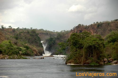 Murchison Falls National Park - Uganda
Parque Nacional de las cataratas Murchison - Uganda