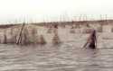 Nets in the lake - Ganvie - Benin
Redes en el lago - Ganvie - Benin