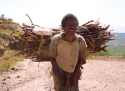 Woman with heavy load - Arba Minch - Sur de Etiopia-