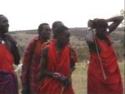 Masai men - Kenya
Guerrero Masai - Kenia