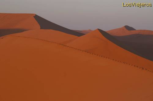 Sunrise over the dunes of the Namib - Namibia
Amanece en el desierto de Namib - Namibia