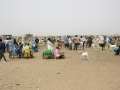 Mercado de ganado (cabras) -Agadez -Niger