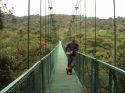 Monteverde - canopy walk - Costa Rica
Monteverde - puentes elevados sobre el bosque - Costa Rica