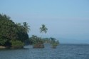 Isla Bastimentos - Bocas del Toro - Panama