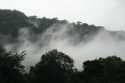 Rainforest surrounding Boquete in northern Panama  