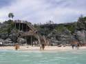 Ir a Foto: ruinas de tulum playa, - Riviera Maya 
Go to Photo: Tulum Beach - Mayan Riviera