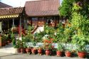 Ir a Foto: Casa tradicional de campo –Kampung-  Melaka, Malaca - Malasia 
Go to Photo: Kampung, Malay country house -Malacca or Melaka- Malaysia