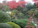 Jardín de los Templos de Nikko - Japón - Japon