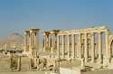 Ampliar Foto: Palmira - Siria