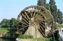 Hama - Water-wheel -Syria