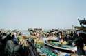 Fishing Market-Hodeidah-Yemen
Mercado de pescado-Hodeidah-Yemen