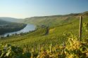 Go to big photo: Mosel River