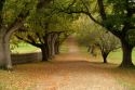 Beautiful lanes in Port Arthur at the begining of the autum 