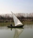 Imagen: Albufera