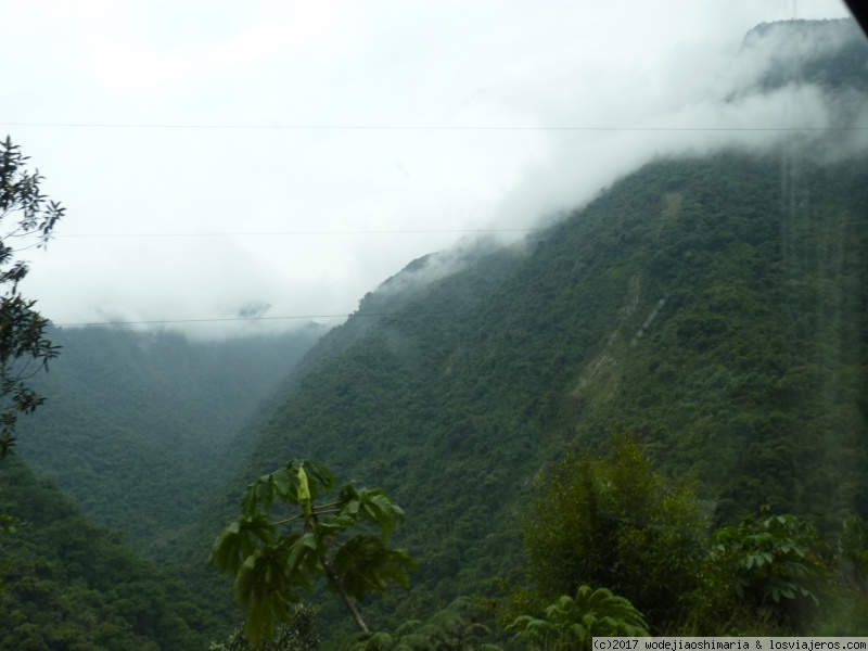 Paisaje subiendo selva