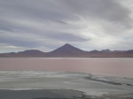 Laguna Colorada