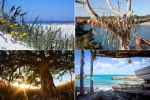 Formentera - Islas Baleares