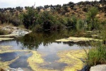 La Morolla, Llerena - Badajoz