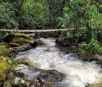 Valle del Cocora