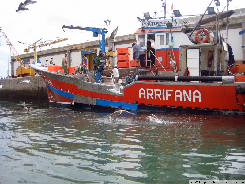 Arrifana