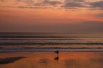 Surfing in Seminyak