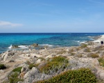 Camino hacia Plage du Saleccia