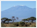 Kilimanjaro