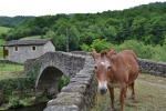 valle de Pas, Cantabria