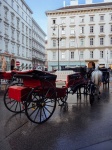 Coche de caballos en Viena