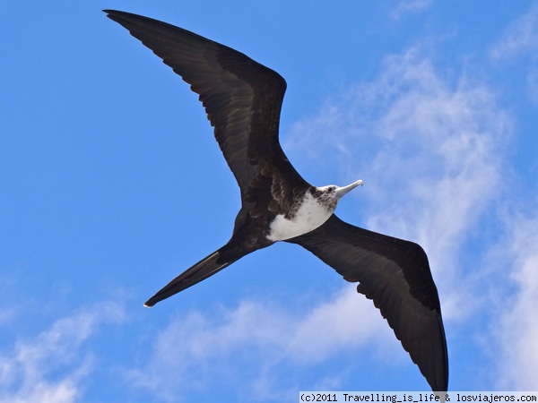 ¡PRONTO LAS GALAPAGOS EN GOOGLE STREET VIEW!