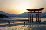 Tori de Miyajima