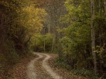 Otoño en La Rioja