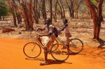 Camino del baobab sagrado