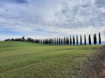 Paisaje Toscano