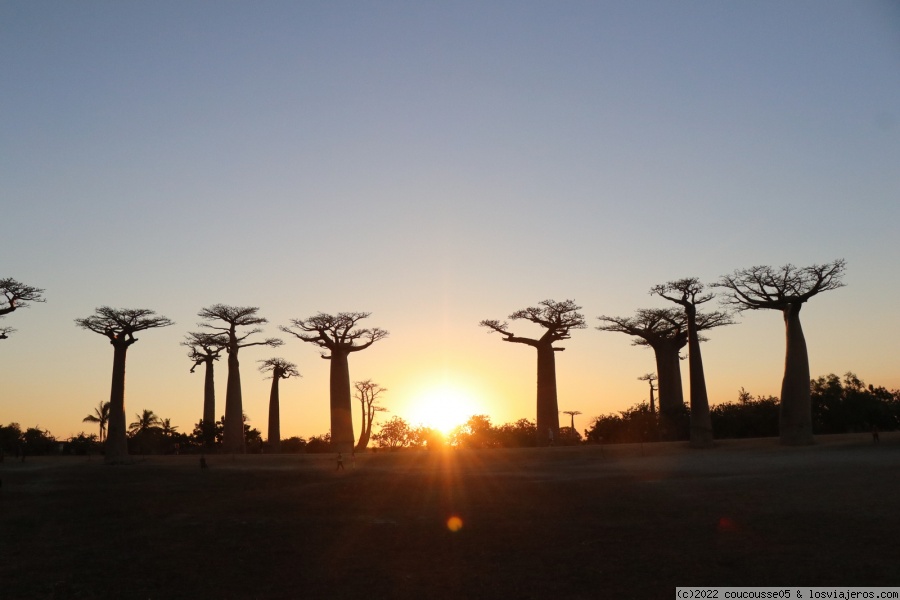 La Avenida de los Baobabs - Morondava