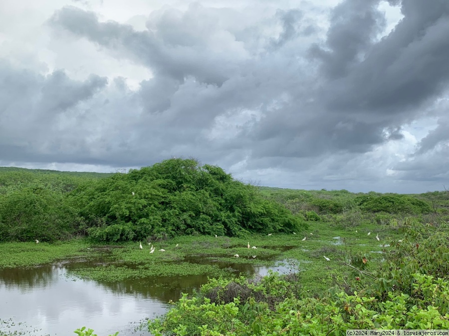 Laguna Natural por Playa Loberia