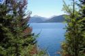 Isla Victoria - Bariloche, Rio Negro
Vistoria Island - Bariloche