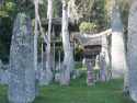 Toraja's cementery